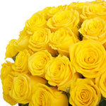 Laden Sie das Bild in den Galerie-Viewer, Gelbe, langstielige Rosen
