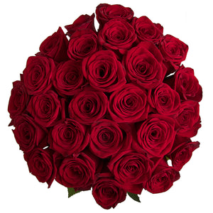 Rote, langstielige Rosen
