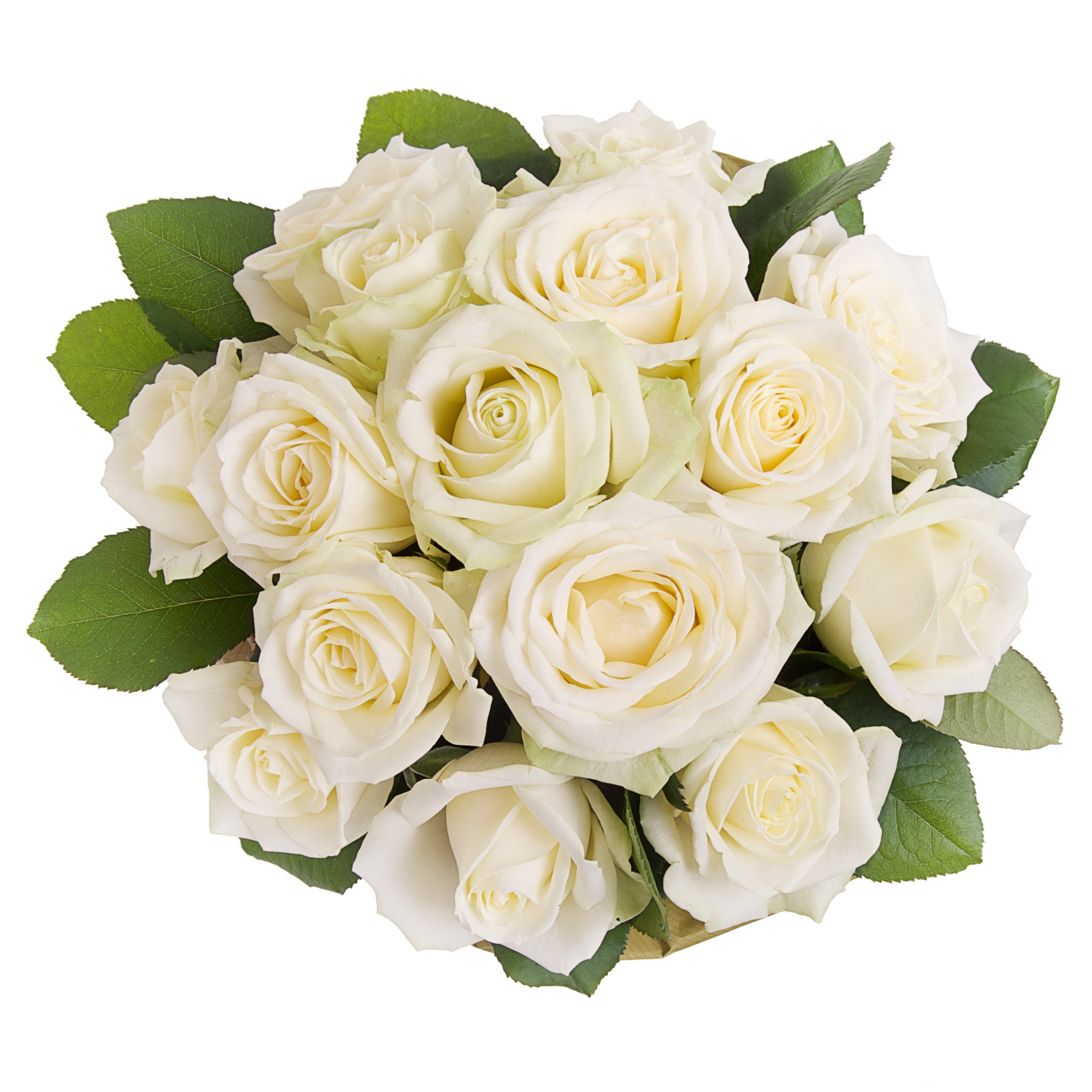Weiße, langstielige Rosen